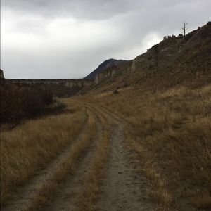 Meet your Posher, Lonna